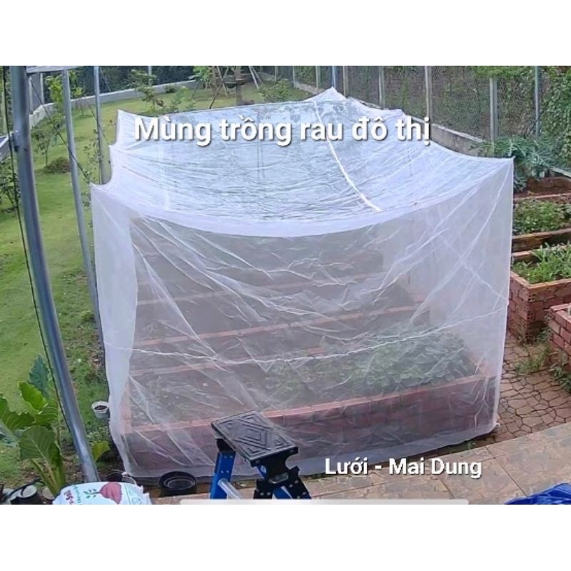 Lưới chống côn trùng , nhà lưới mini trồng rau củ quả