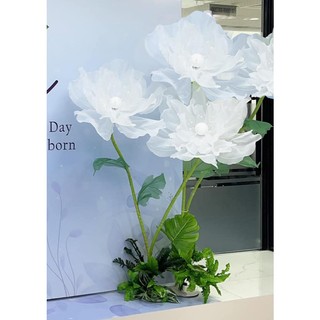 Vải voan trắng loại xuyên sáng đẹp làm hoa khổng lồ và decor trang trí
