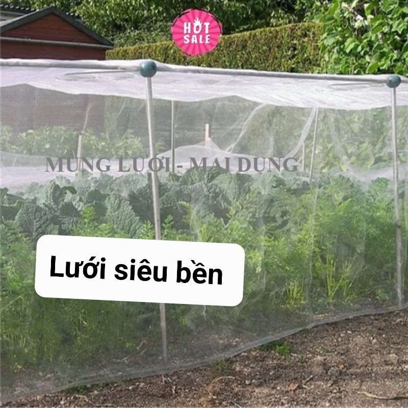 Lưới chống côn trùng , nhà lưới mini trồng rau củ quả