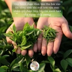 Hộp Quà Chè Quý Ô Long & Tân Cương Thượng Hạng 2 Hũ Trà Ngon Bộ Gỗ Cao Cấp Quà Biếu Tặng Sếp Doanh Nghiệp — ảnh 2