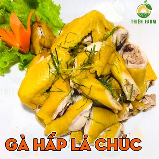 Cây Chanh Chúc THIỆN FARM 40cm dùng hấp gà, làm nước chấm, gia vị nấu ăn thơm ngon, trồng chậu