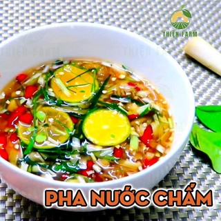 Cây Chanh Chúc THIỆN FARM 40cm dùng hấp gà, làm nước chấm, gia vị nấu ăn thơm ngon, trồng chậu