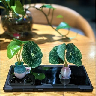 Bình sứ lá xanh mini - trưng bài màu sắc nét