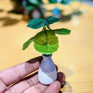 Bình sứ lá xanh mini - trưng bài màu sắc nét