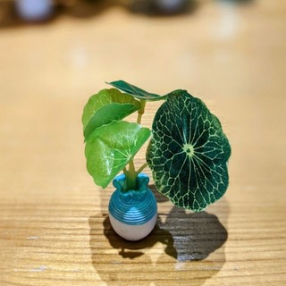 Bình sứ lá xanh mini - trưng bài màu sắc nét