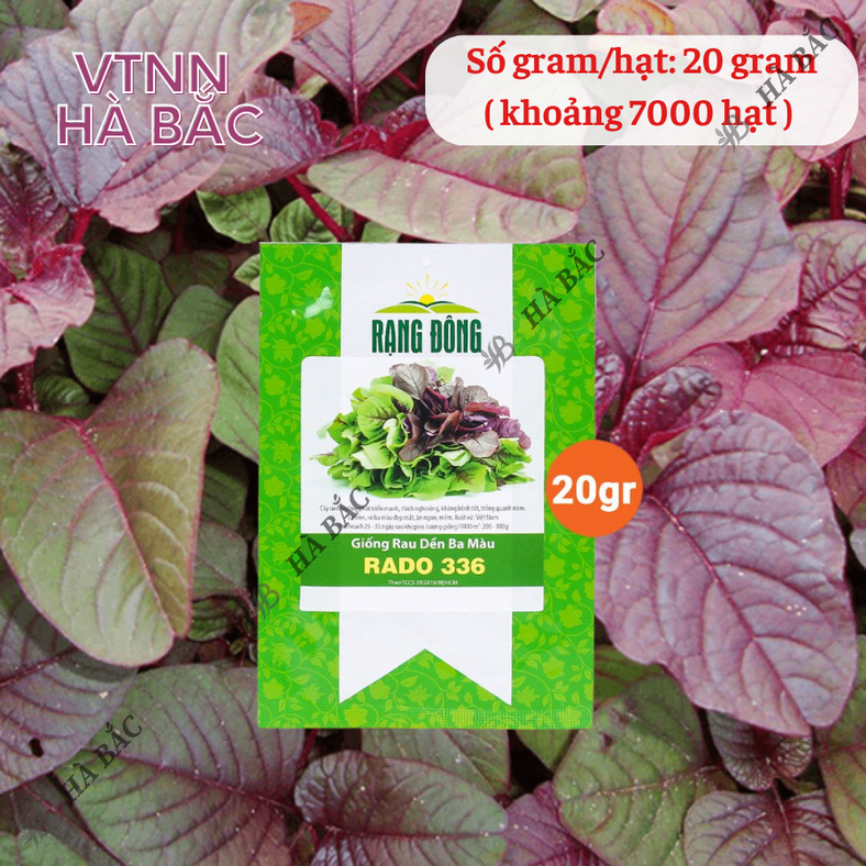 Hạt giống Rau Dền Ba Màu Rado 336 (20gram~7000 hạt) trồng quanh năm, dễ chăm sóc, sinh trưởng khỏe
