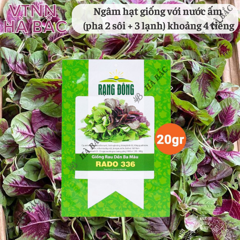 Hạt giống Rau Dền Ba Màu Rado 336 (20gram~7000 hạt) trồng quanh năm, dễ chăm sóc, sinh trưởng khỏe