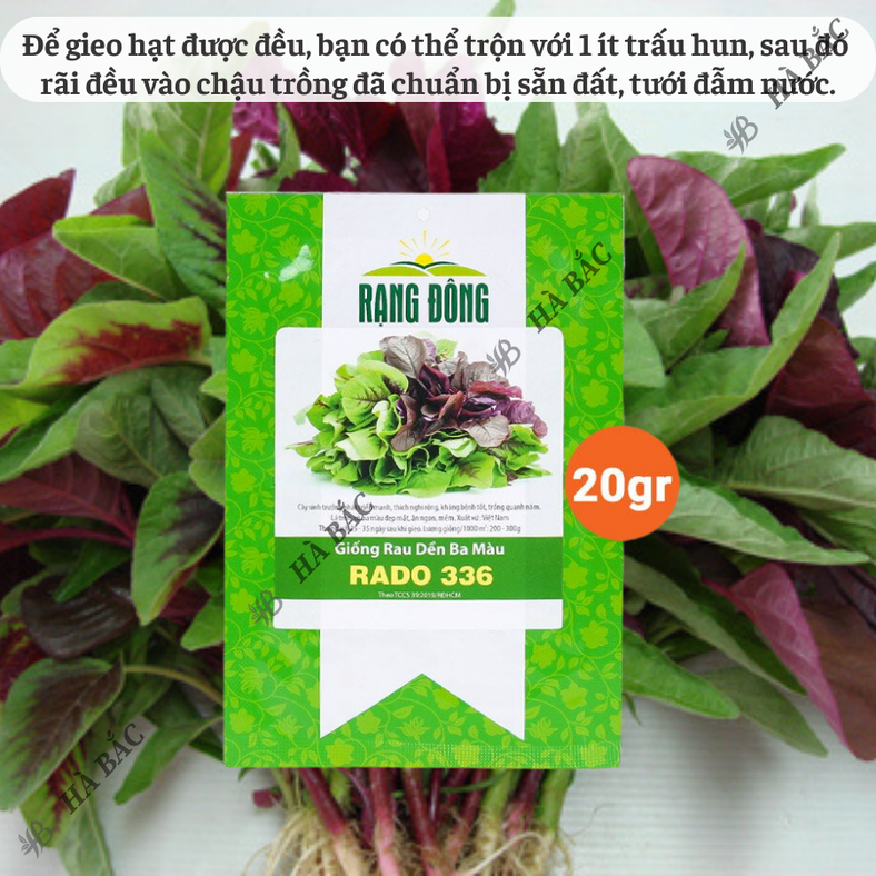 Hạt giống Rau Dền Ba Màu Rado 336 (20gram~7000 hạt) trồng quanh năm, dễ chăm sóc, sinh trưởng khỏe