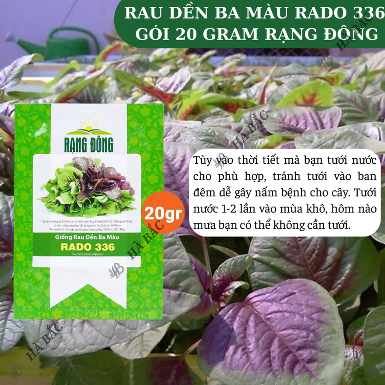 Hạt giống Rau Dền Ba Màu Rado 336 (20gram~7000 hạt) trồng quanh năm, dễ chăm sóc, sinh trưởng khỏe