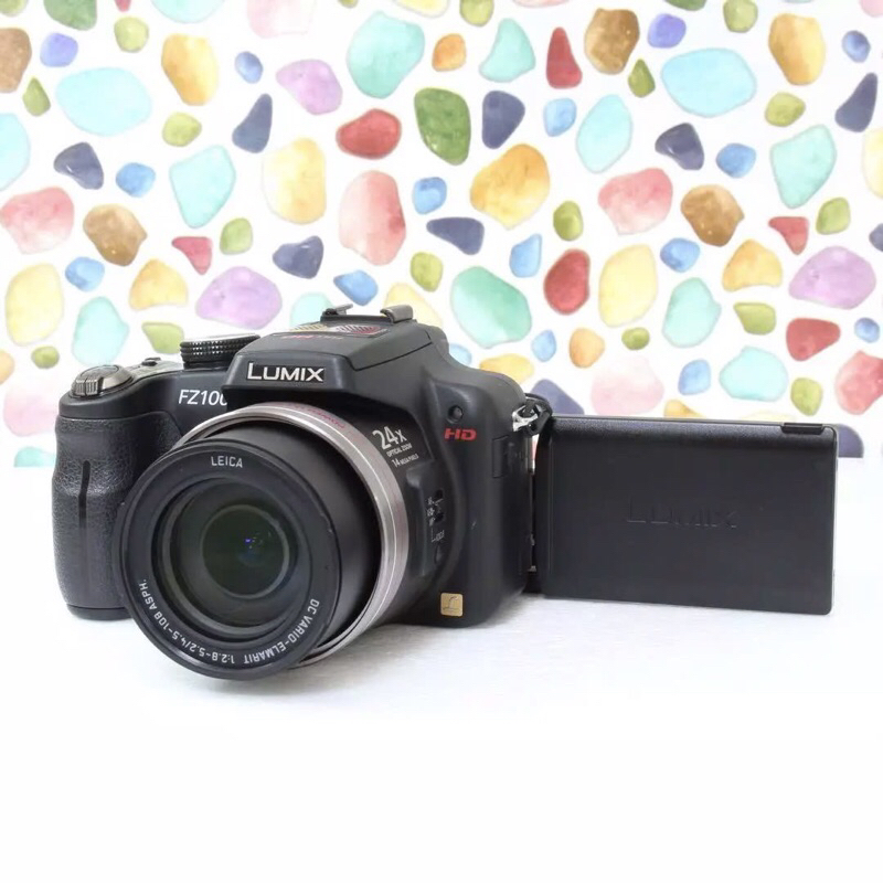 Panasonic Dmc Fz100 近影から超望遠まで LUMIX DMC-FZ100