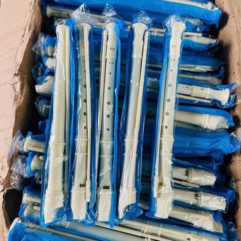 Sáo dọc Recoder 8 lỗ dành cho học sinh âm nhạc (1 Cây)
