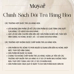 Nước hoa Mykonos | Nước Hoa Unisex Fullsize | Moyar Perfume — ảnh 8