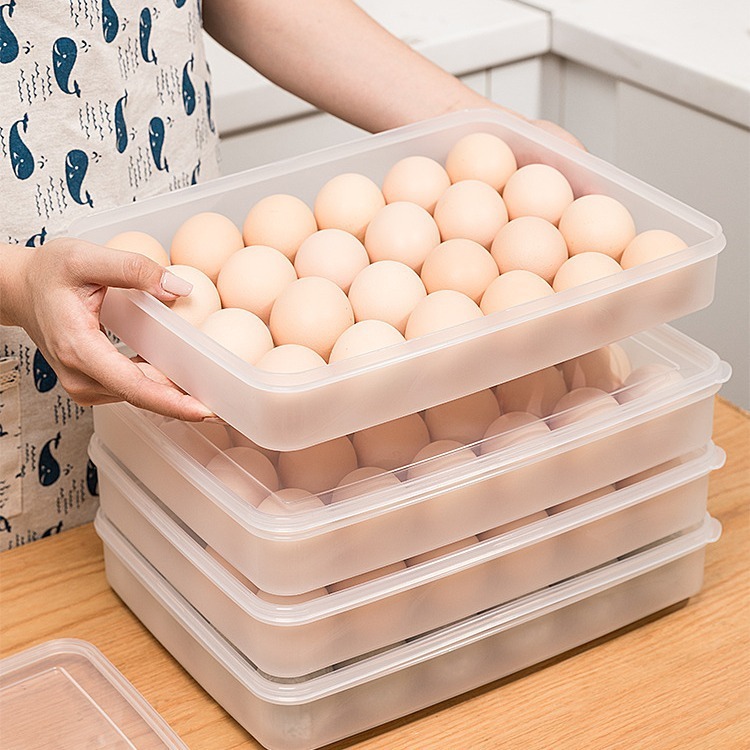 Hộp Đựng Trứng 24 Qủa Chính Hãng Việt Nhật (Mã 6786)