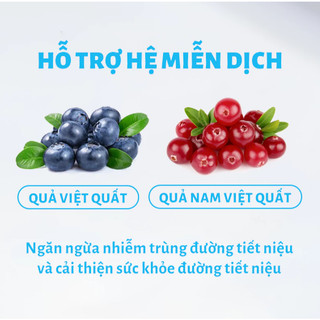Thức ăn cho mèo MRVET dạng hạt T3 mới 1KG hỗ trợ cải thiện đường tiết niệu cho mèo Pet Kool