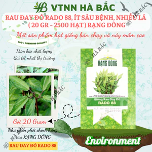 Hạt giống Rau Đay Đỏ Rado 88 (20gram~2500 hạt) dễ trồng, ít sâu bệnh, trồng quanh năm