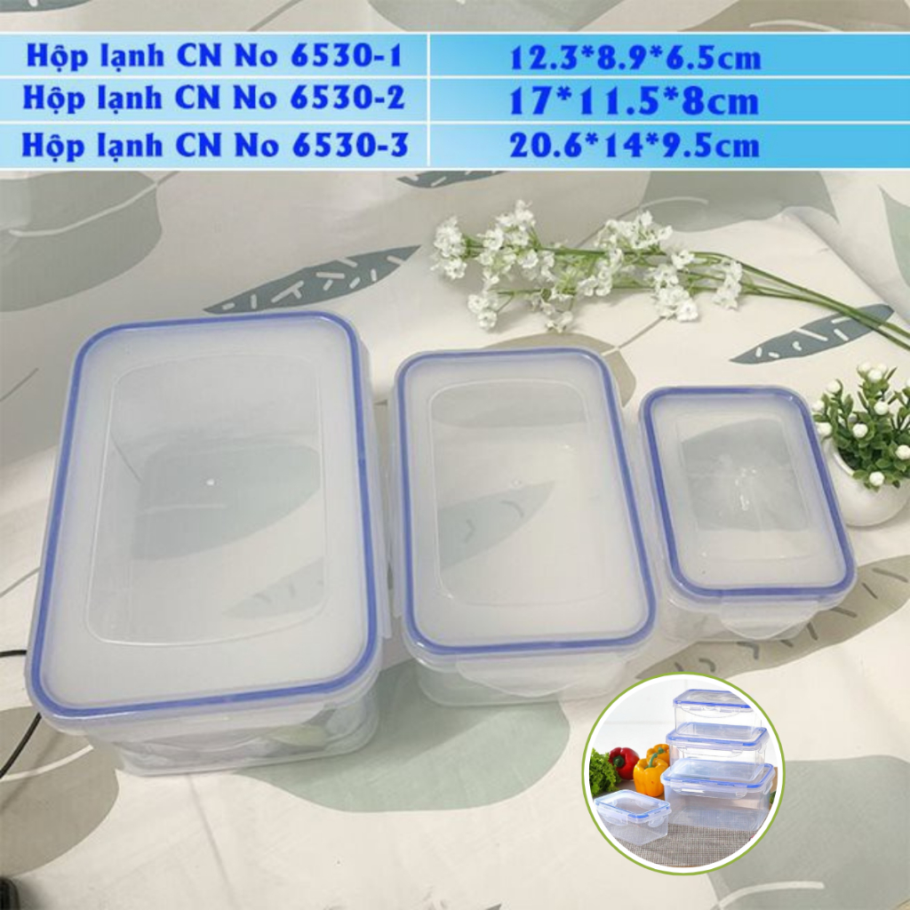 Bộ 3 Hộp Đựng Thực Phẩm CN Chính Hãng VIỆT NHẬT (Mã 6530)