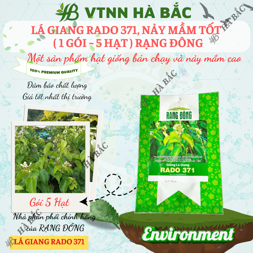 Hạt giống Lá Giang Rado 371 (5 hạt) sinh trưởng khỏe, nảy mầm tốt, trồng quanh năm