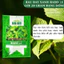 Hạt giống Rau Đay Xanh Rado 21 (20gram~2500 hạt) nhanh thu hoạch, sinh trưởng khỏe, trồng quanh năm