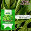 Hạt giống Rau Đay Xanh Rado 21 (20gram~2500 hạt) nhanh thu hoạch, sinh trưởng khỏe, trồng quanh năm