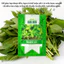 Hạt giống Rau Đay Xanh Rado 21 (20gram~2500 hạt) nhanh thu hoạch, sinh trưởng khỏe, trồng quanh năm