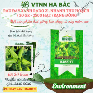 Hạt giống Rau Đay Xanh Rado 21 (20gram~2500 hạt) nhanh thu hoạch, sinh trưởng khỏe, trồng quanh năm