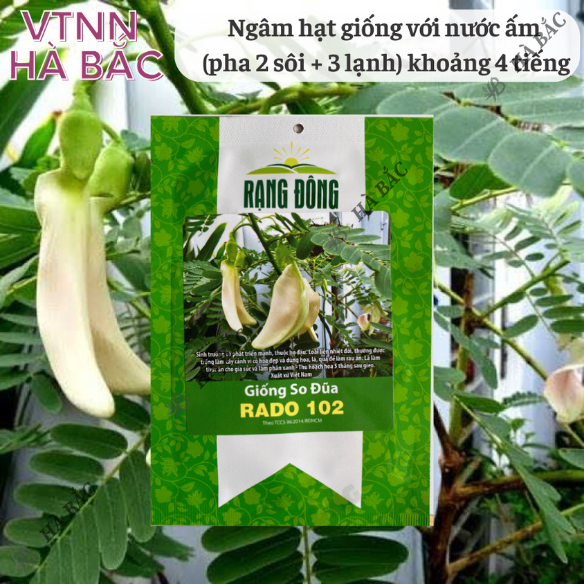 Hạt giống So Đũa Rado 102 (2gram~40 hạt) trồng quanh năm, hoa nở liên tục, cây sinh trưởng mạnh