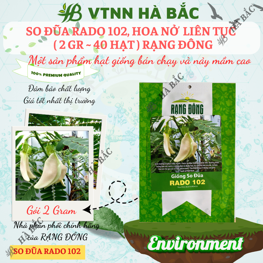 Hạt giống So Đũa Rado 102 (2gram~40 hạt) trồng quanh năm, hoa nở liên tục, cây sinh trưởng mạnh