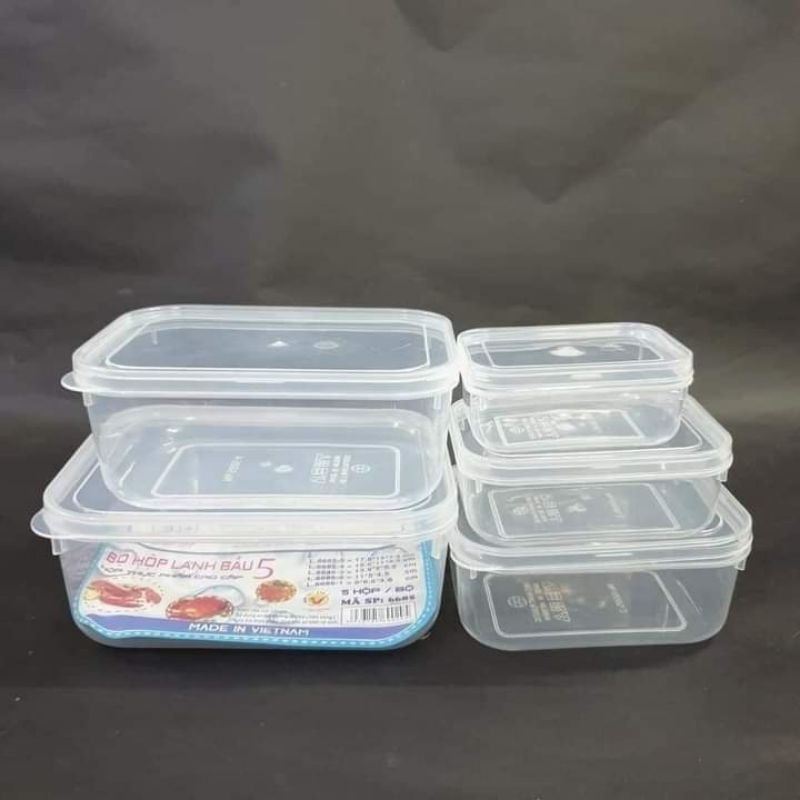Bộ 5 Hộp Lạnh Bầu Bảo Quản Thực Phẩm, Hộp đựng thực phẩm 5 size Chính Hãng VIỆT NHẬT (Mã 6685)
