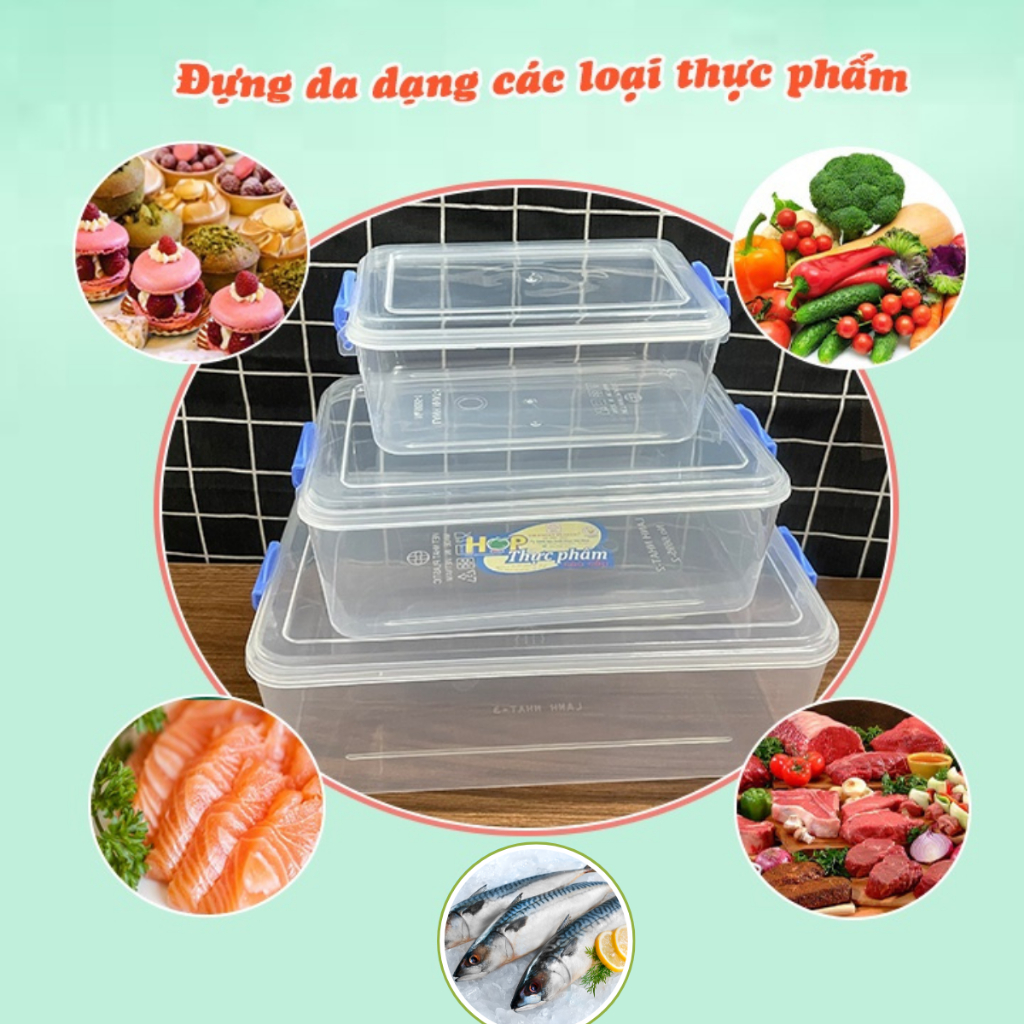 Bộ 3 hộp đựng thực phẩm lạnh, Hộp đựng thực phẩm ngăn ngừa vi khuẩn Chính Hãng VIỆT NHẬT (Mã 6695)