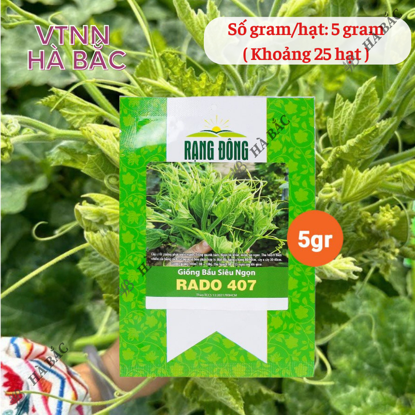 Hạt giống Bầu Siêu Ngọn Rado 407 (5gram~25 hạt) dễ trồng, ít chăm sóc, trồng được quanh năm