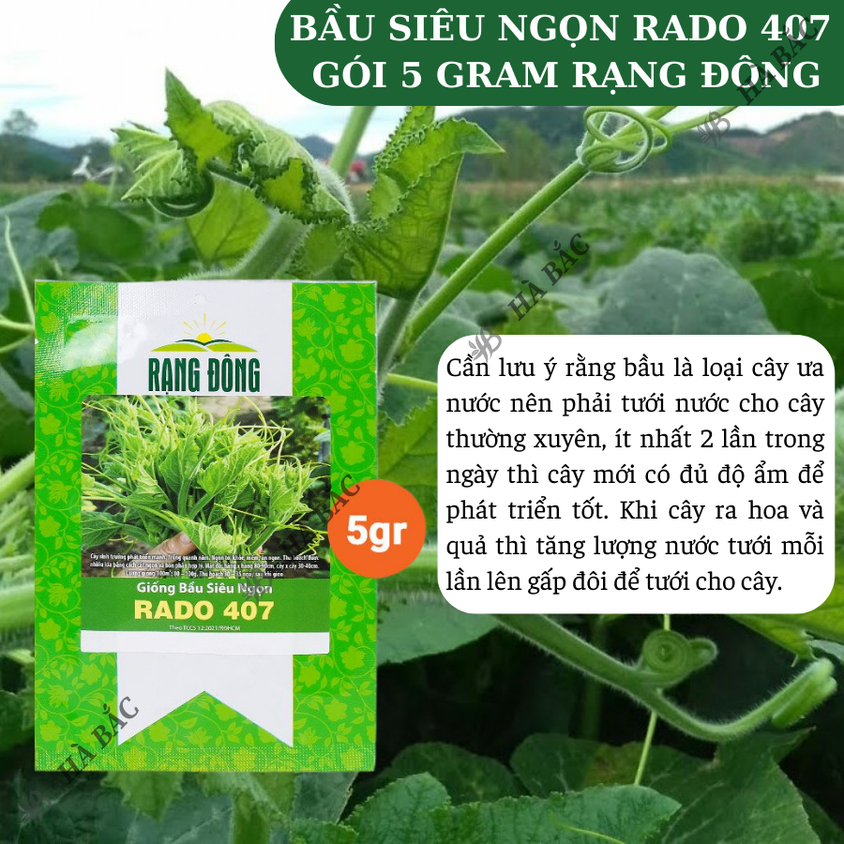 Hạt giống Bầu Siêu Ngọn Rado 407 (5gram~25 hạt) dễ trồng, ít chăm sóc, trồng được quanh năm