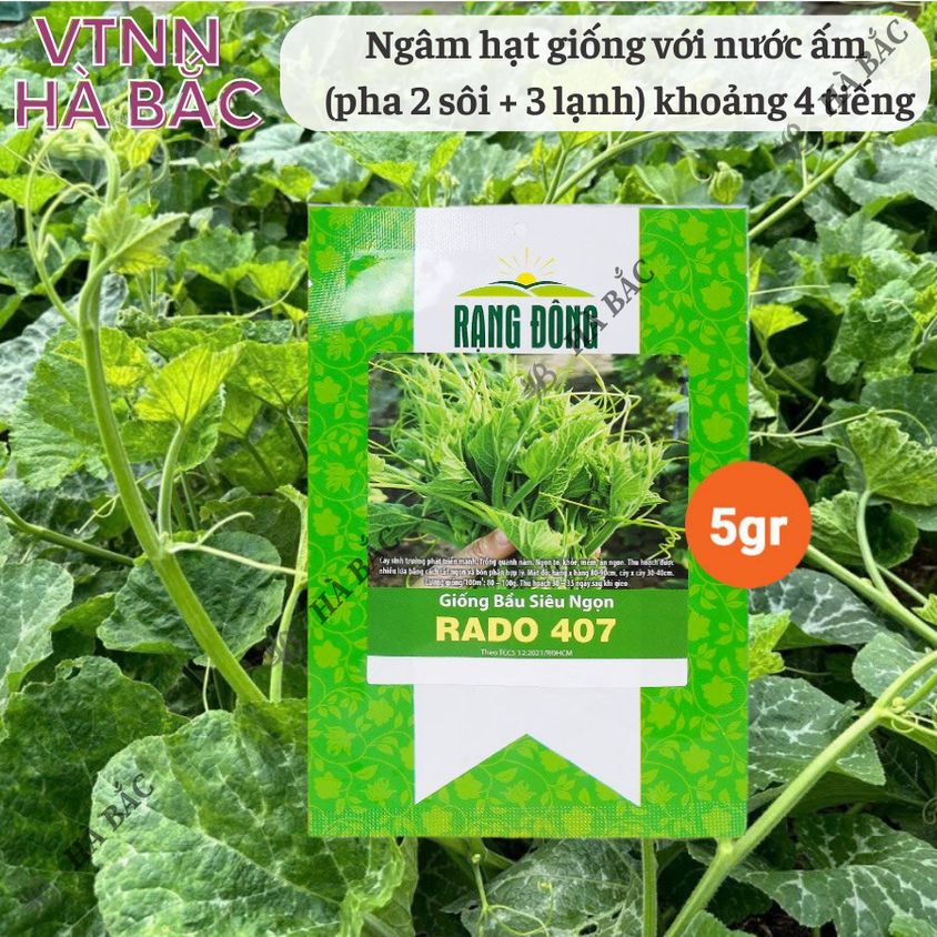 Hạt giống Bầu Siêu Ngọn Rado 407 (5gram~25 hạt) dễ trồng, ít chăm sóc, trồng được quanh năm