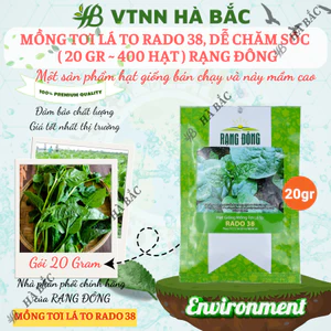 Hạt giống Mồng Tơi Lá To Rado 38 (20gram~400 hạt) cao sản, dễ trồng, dễ chăm, sinh trưởng khỏe
