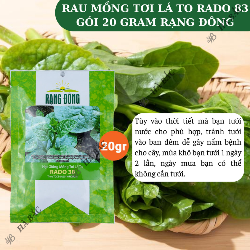 Hạt giống Mồng Tơi Lá To Rado 38 (20gram~400 hạt) cao sản, dễ trồng, dễ chăm, sinh trưởng khỏe