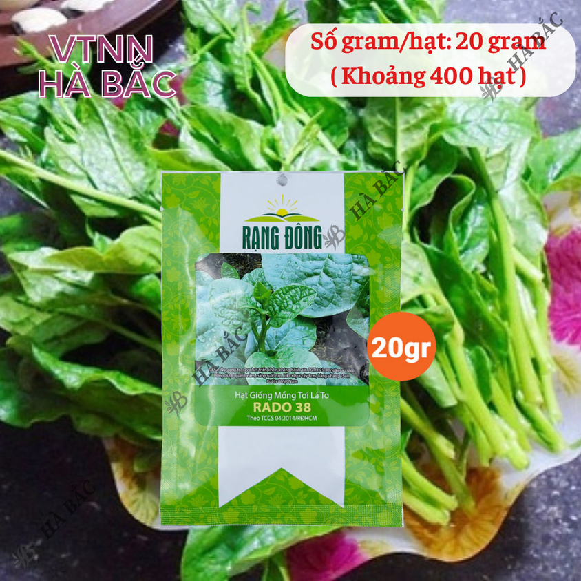 Hạt giống Mồng Tơi Lá To Rado 38 (20gram~400 hạt) cao sản, dễ trồng, dễ chăm, sinh trưởng khỏe