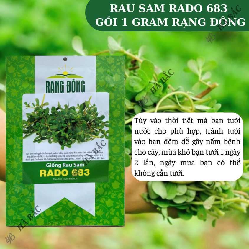 Hạt giống Rau Sam Rado 683 (1gram~1200 hạt) nảy mầm tốt, trồng quanh năm, sinh trưởng khỏe