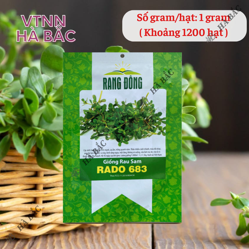 Hạt giống Rau Sam Rado 683 (1gram~1200 hạt) nảy mầm tốt, trồng quanh năm, sinh trưởng khỏe
