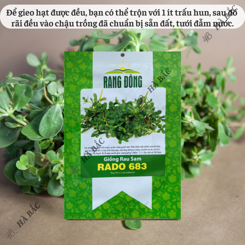Hạt giống Rau Sam Rado 683 (1gram~1200 hạt) nảy mầm tốt, trồng quanh năm, sinh trưởng khỏe