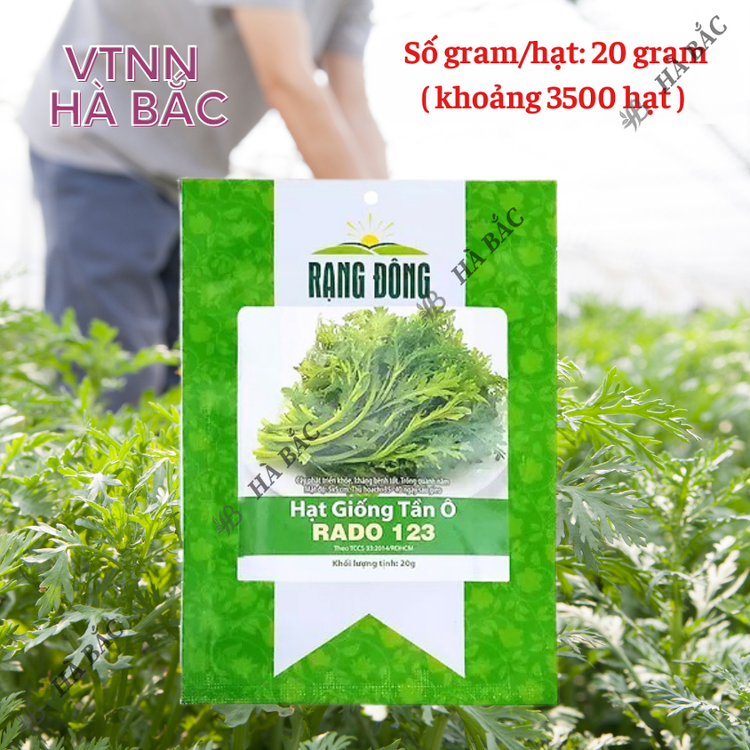Hạt giống Tần Ô Rado 123 (20gram~3500 hạt) - Rau Cúc Tẻ nảy mầm tốt, ít sâu bệnh, trồng quanh năm