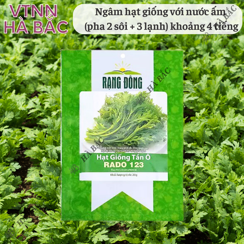 Hạt giống Tần Ô Rado 123 (20gram~3500 hạt) - Rau Cúc Tẻ nảy mầm tốt, ít sâu bệnh, trồng quanh năm