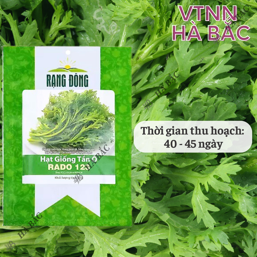 Hạt giống Tần Ô Rado 123 (20gram~3500 hạt) - Rau Cúc Tẻ nảy mầm tốt, ít sâu bệnh, trồng quanh năm