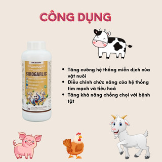 Dung dịch chiết xuất tỏi nguyên chất Sirogarlic 1lít Vb Pharma giúp vật nuôi tăng miễn dịch,tiêu hoá