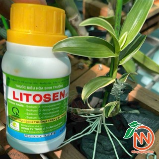 Thuốc Điều Hòa Sinh Trưởng LITOSEN 1.95EC Chai 100ml - Kích Thích Đồng Bộ Rễ, Mầm, Chồi,Lá