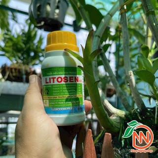 Thuốc Điều Hòa Sinh Trưởng LITOSEN 1.95EC Chai 100ml - Kích Thích Đồng Bộ Rễ, Mầm, Chồi,Lá