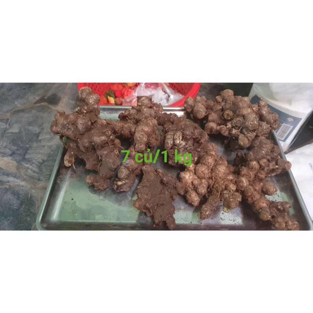 1kg Củ Gừng Đen (Ngải Tím) Sìn Hồ Lai Châu Loại 1 trên 2 Năm Tuổi Già Đanh