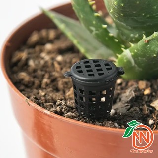 Combo 10 Rọ Đựng Phân Tan Chậm Cho Hoa Lan, Bonsai - Nắp Cài Nhựa Thay Thế Cho Túi Lọc Trà