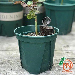 5 Cái Rọ Nhựa Đựng Phân Tan Chậm - Nông Nghiệp Đẹp