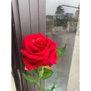combo 5  cành hồng nhung đỏ 1bông 💥hàng nhập cao cấp💥