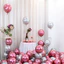 Set 10 Bong Bóng Siêu Nhũ Trang Trí Tiệc Siêu Đẹp TOMI 304