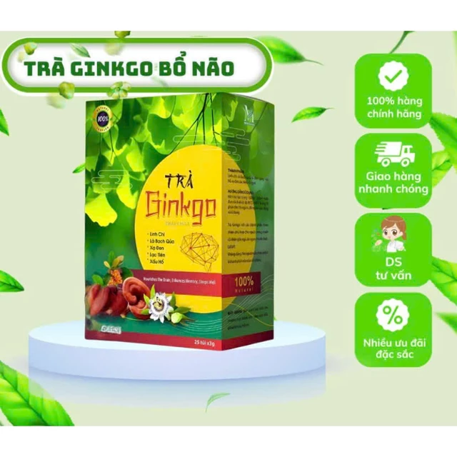 Trà Ginkgo Hoạt Huyết Bổ Não-Hoạt Huyết,Ngủ ngon,Giảm Stress,Đau Đầu,Chóng Mặt,Trà Bổ Não,Trà Ginkgo